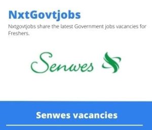 Senwes Relief Assistant Silo Manager Vacancies in Klerksdorp 2023