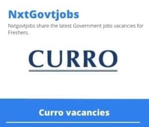 Curro Foundation Phase Teacher Vacancies in Mafikeng – Deadline 01 Jan 2024