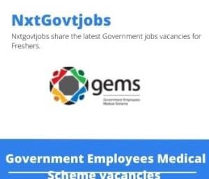 GEMS Client Liaison Officer Vacancies in Mafikeng – Deadline 05 Jul 2023