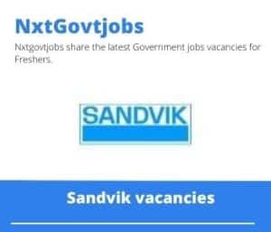 Sandvik Area Sales Represantative Vacancies in Rustenburg – Deadline 30 Aug 2023